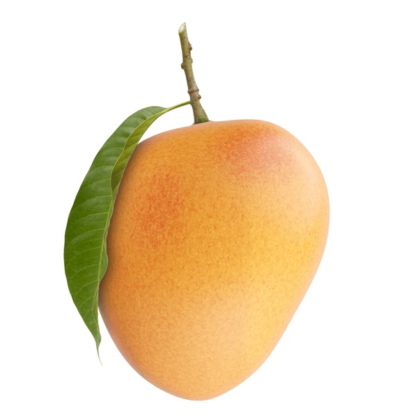 fresh-alphonso-mango-fruit-green-600nw-2452114047